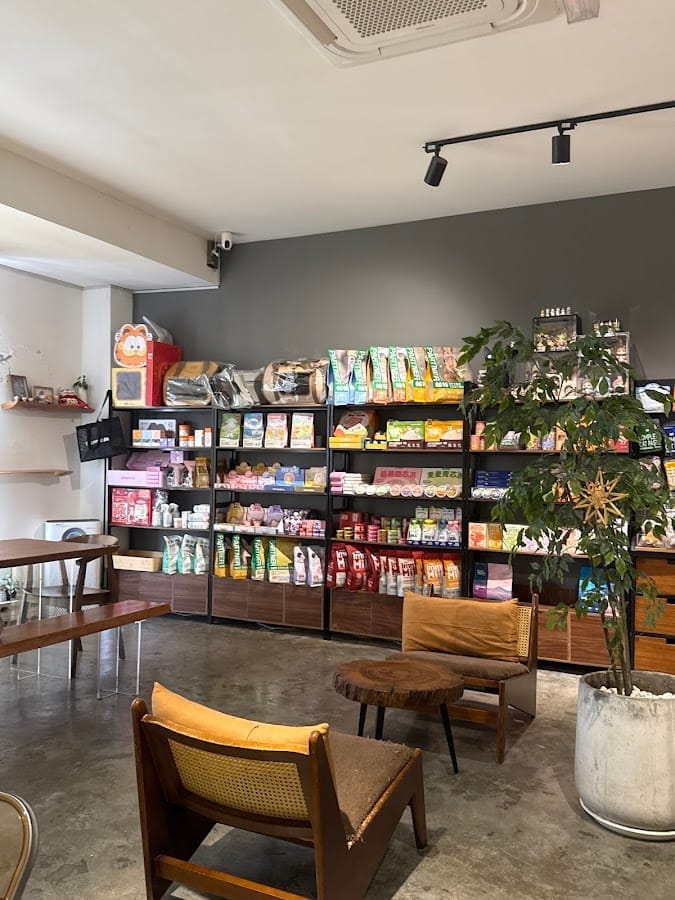 Inside Meow Me Cat House: shelves of cat food and canned food, two cane armchairs and a small wooden table
